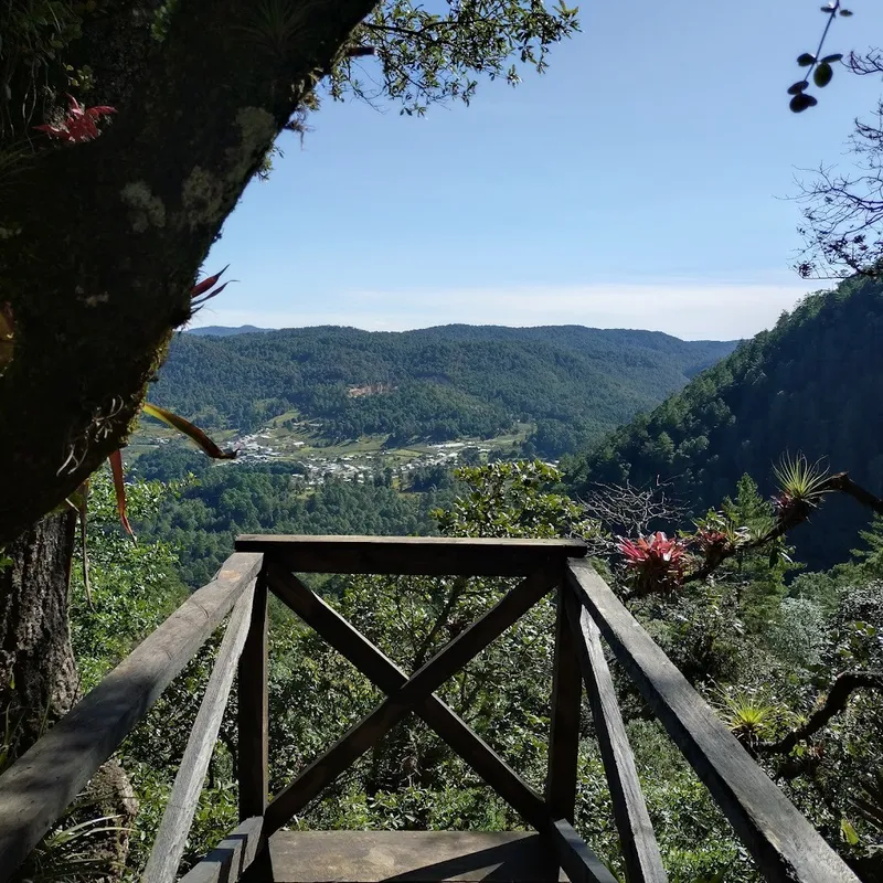 Cloud forest at the Montetik viewpoint