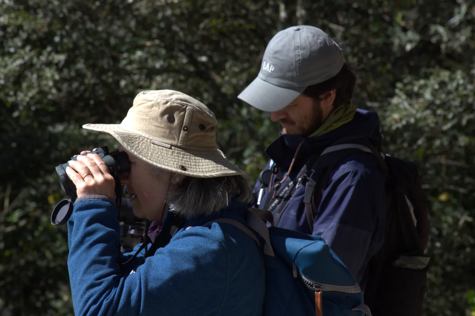 Valente watching a guest get onto a bird in the highlands