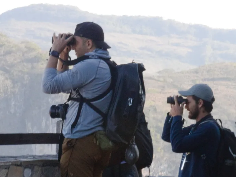 Birding the canyon rim