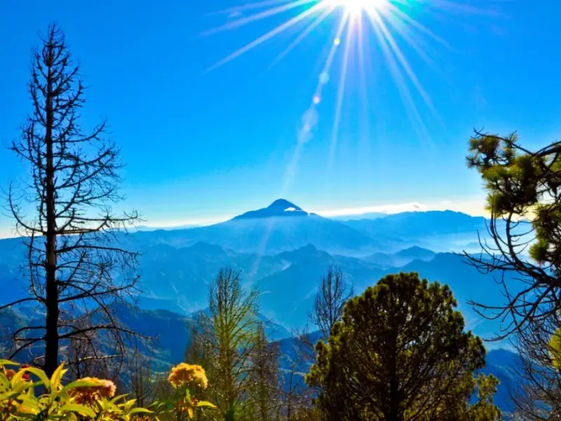 The Tacaná volcano above cloud forest